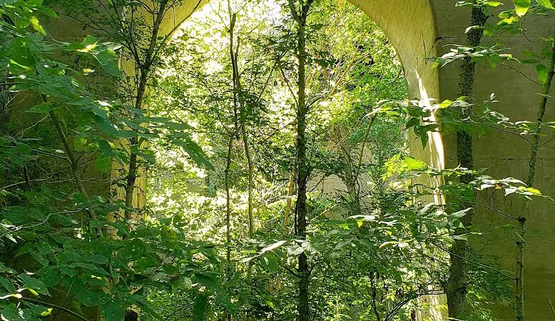 Felson Park - Greenfield, OH