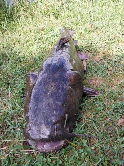 Mitchell Park - Greenfield, OH