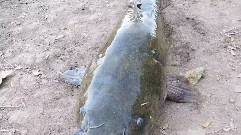 Mitchell Park - Greenfield, OH