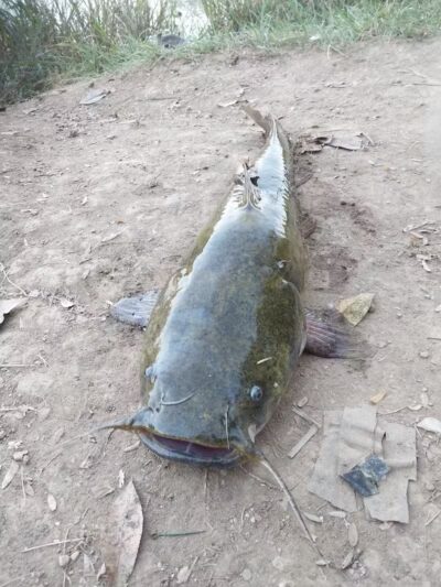 Mitchell Park - Greenfield, OH