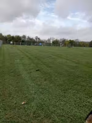 Scentral Dog Park - Greenville, OH