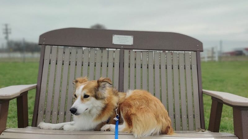 Scentral Dog Park - Greenville, OH