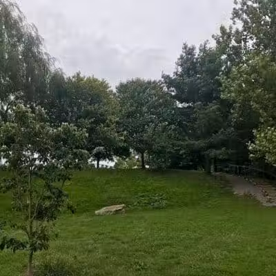 Grass Island Dog Park - Greenwich, CT