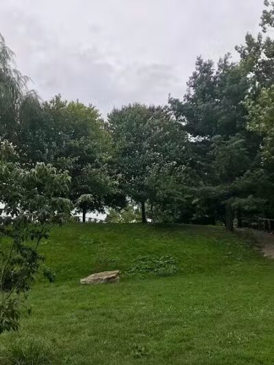 Grass Island Dog Park - Greenwich, CT