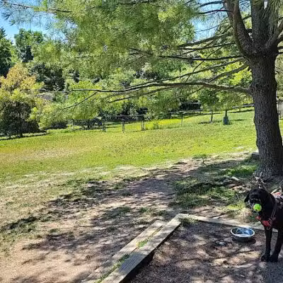 Grass Island Dog Park - Greenwich, CT