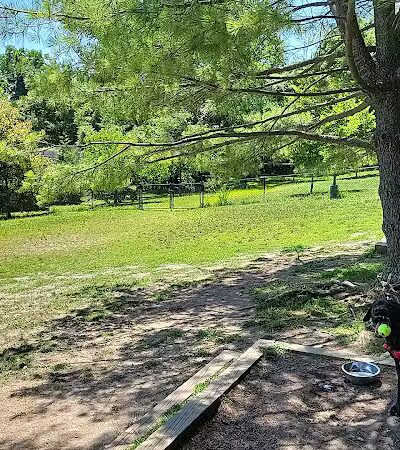 Grass Island Dog Park - Greenwich, CT