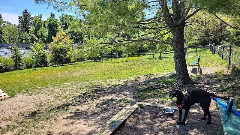 Grass Island Dog Park - Greenwich, CT