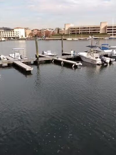 Grass Island Dog Park - Greenwich, CT