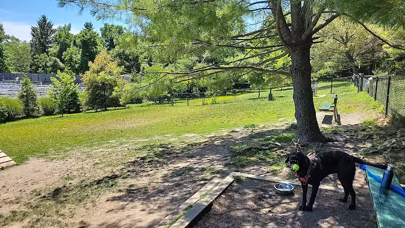 Grass Island Dog Park - Greenwich, CT