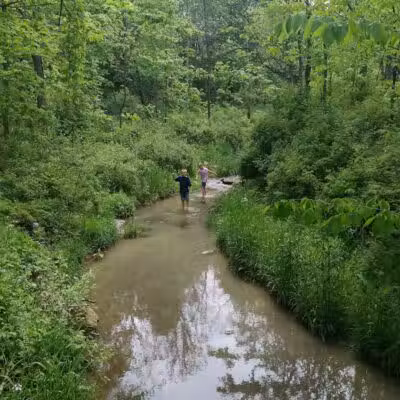 Pine Hill Park - Crall Woods - Greenwich, OH