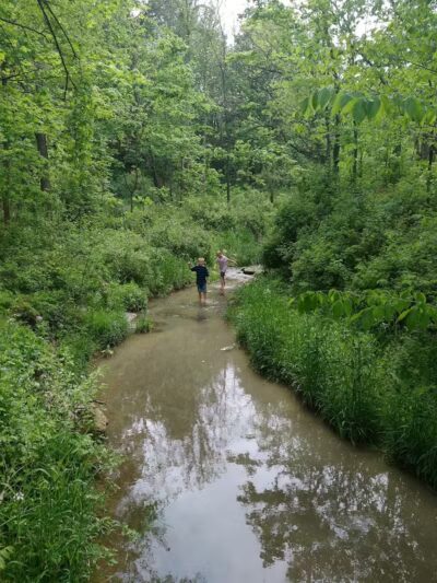 Pine Hill Park - Crall Woods - Greenwich, OH