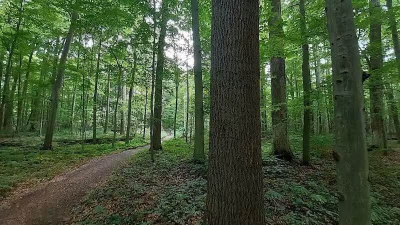 Pine Hill Park - Crall Woods - Greenwich, OH