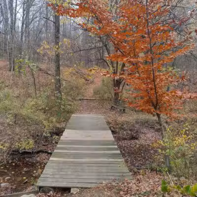 Pine Hill Park - Crall Woods - Greenwich, OH