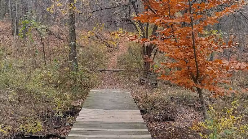 Pine Hill Park - Crall Woods - Greenwich, OH