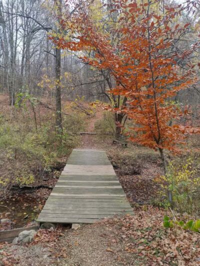 Pine Hill Park - Crall Woods - Greenwich, OH