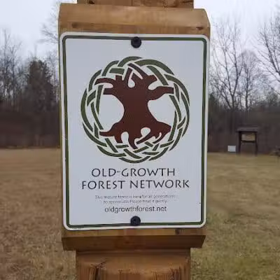 Pine Hill Park - Crall Woods - Greenwich, OH
