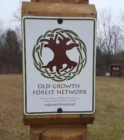 Pine Hill Park - Crall Woods - Greenwich, OH