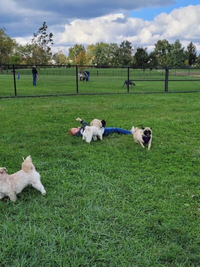 Breck Community Dog Park - Grove City, OH