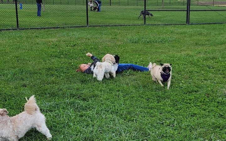 Breck Community Dog Park - Grove City, OH