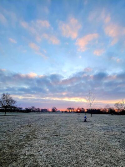 Breck Community Dog Park - Grove City, OH