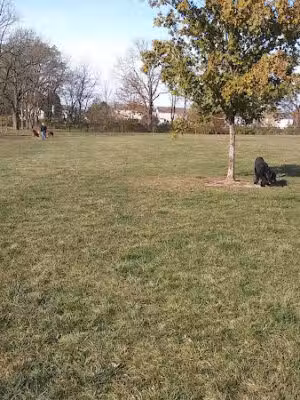 Breck Community Dog Park - Grove City, OH