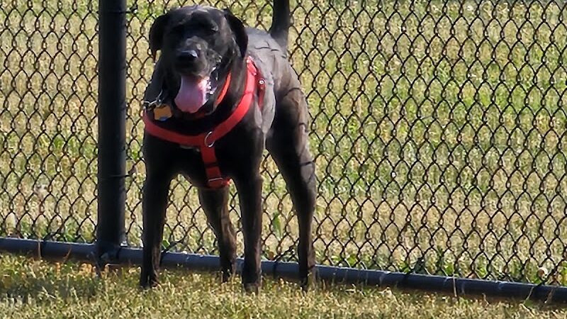 Breck Community Dog Park - Grove City, OH