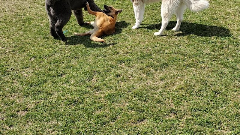Breck Community Dog Park - Grove City, OH