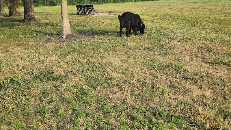 Breck Community Dog Park - Grove City, OH