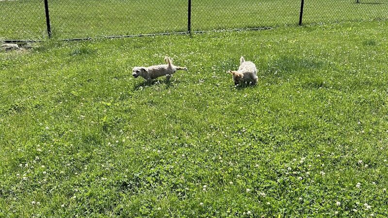 Breck Community Park - City Of Grove City - Grove City, OH