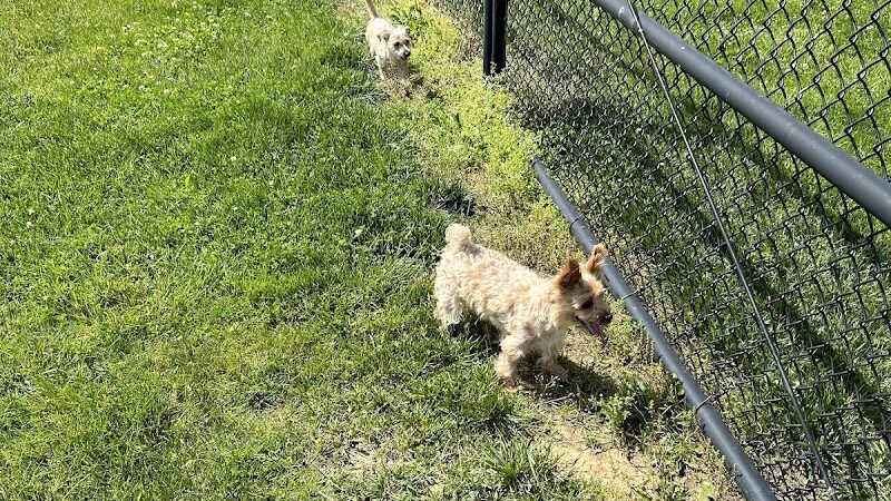 Breck Community Park - City Of Grove City - Grove City, OH