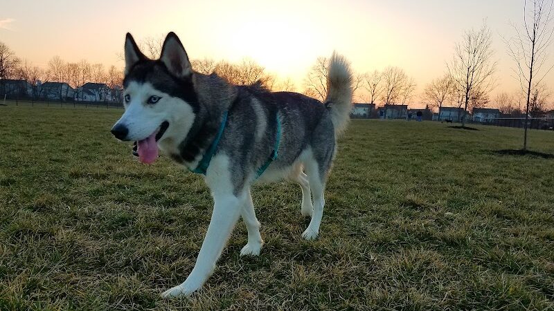 Breck Community Park - City Of Grove City - Grove City, OH