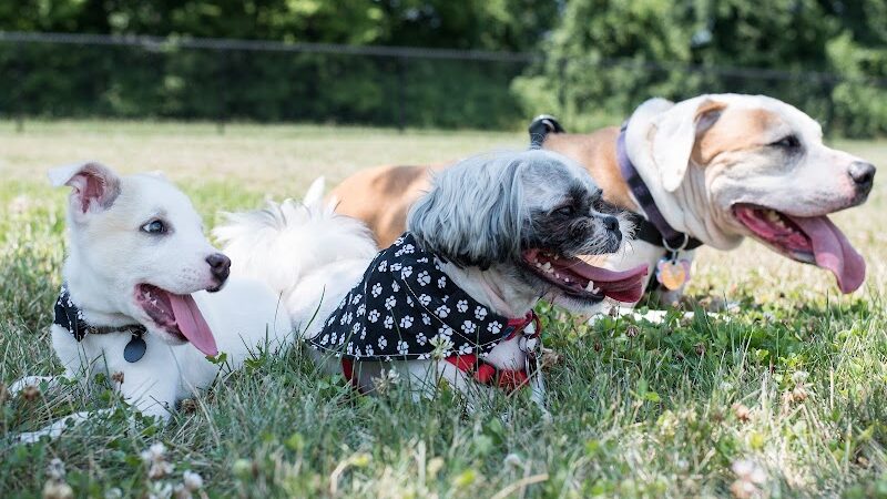 Breck Community Park - City Of Grove City - Grove City, OH