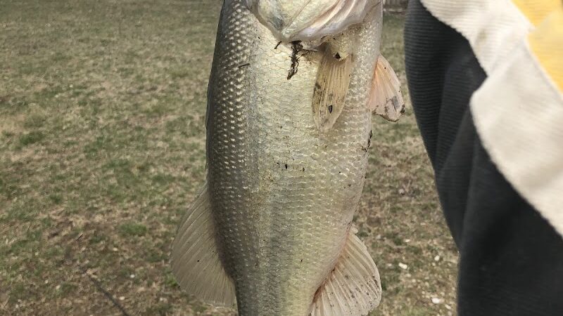 Breck Community Park - City Of Grove City - Grove City, OH