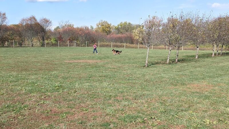 Walnut Woods Dog Park - Groveport, OH