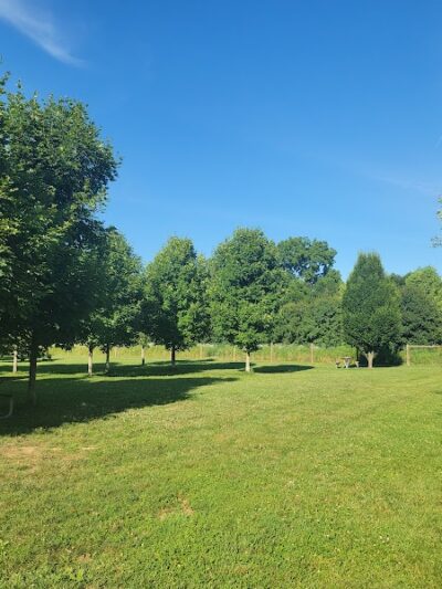 Walnut Woods Dog Park - Groveport, OH