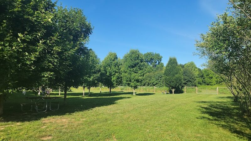 Walnut Woods Dog Park - Groveport, OH