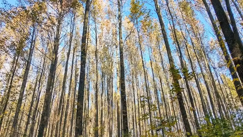 Walnut Woods Metro Park - Groveport, OH