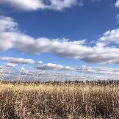 Walnut Woods Metro Park - Groveport, OH