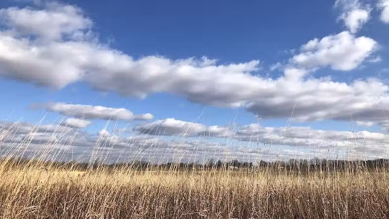Walnut Woods Metro Park - Groveport, OH