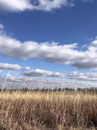 Walnut Woods Metro Park - Groveport, OH