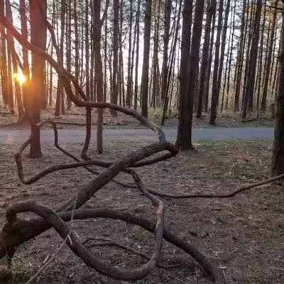 Walnut Woods Metro Park - Groveport, OH