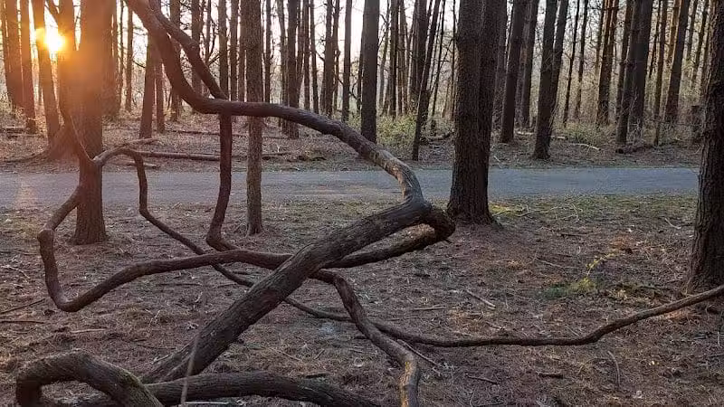 Walnut Woods Metro Park - Groveport, OH