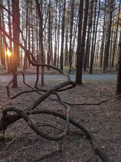 Walnut Woods Metro Park - Groveport, OH