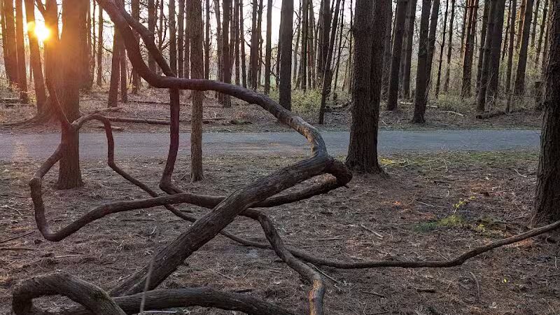 Walnut Woods Metro Park - Groveport, OH