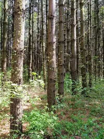 Walnut Woods Metro Park - Groveport, OH