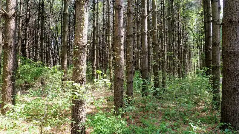 Walnut Woods Metro Park - Groveport, OH