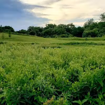 Walnut Woods Metro Park - Groveport, OH
