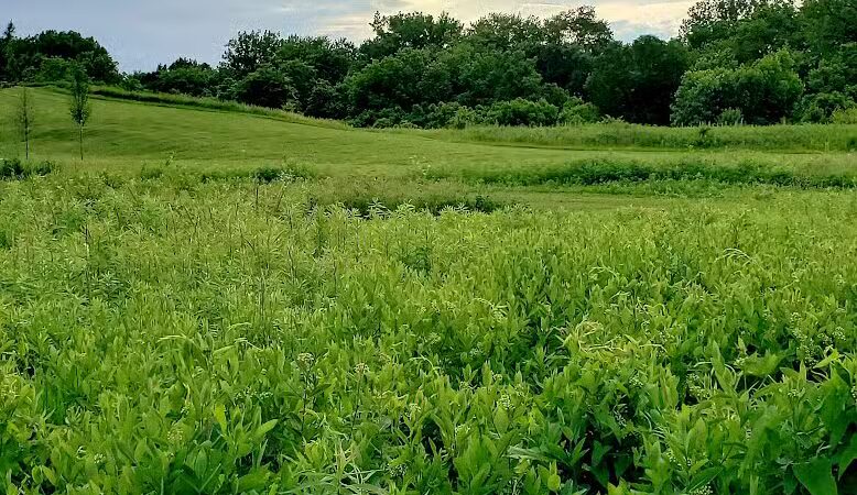 Walnut Woods Metro Park - Groveport, OH