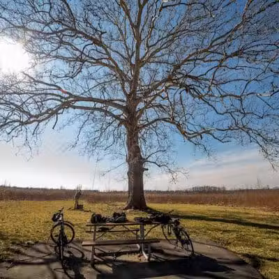 Walnut Woods Metro Park - Groveport, OH