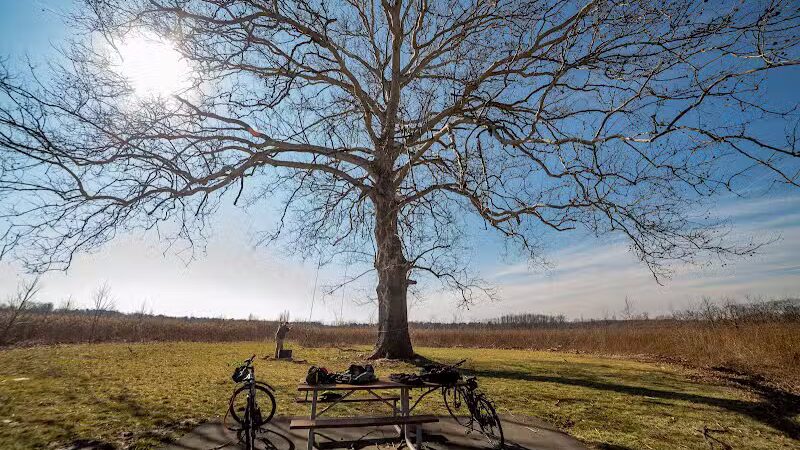 Walnut Woods Metro Park - Groveport, OH